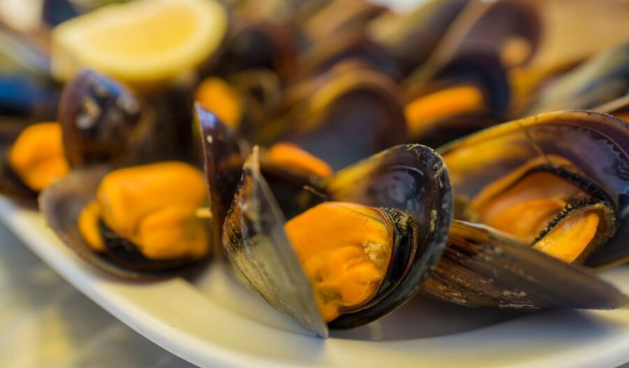 private-gastronomical-tour-in-santiago-de-compostela-tour-overview