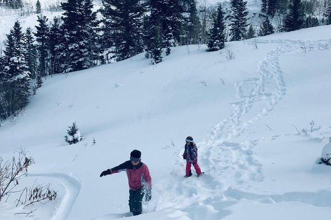 Private Guided Snowshoe Excursion in Park City (9:30am and 1:30pm Start Times) - Overview of the Excursion