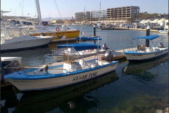 Private Half-Day Sport Fishing in Los Cabos - Comfortable Panga Fishing Boat