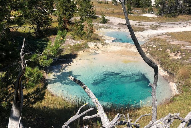 Private Hidden Gems of Yellowstone! Lunch W/ Family Friendly Hikes Included!