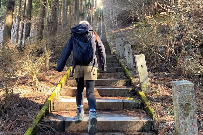 private-hiking-tour-to-view-mt-fuji-meeting-and-pickup