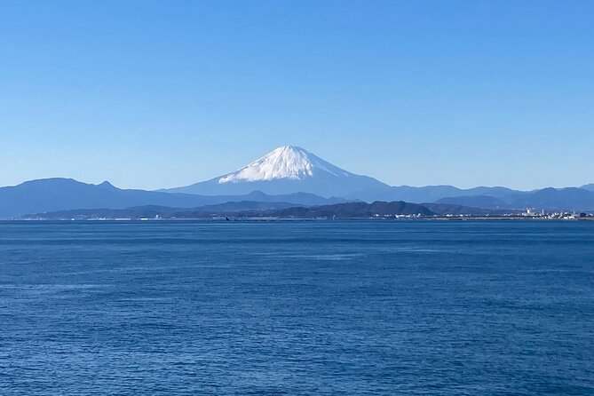 private-kamakura-and-enoshima-day-tour-from-tokyo-tour-overview