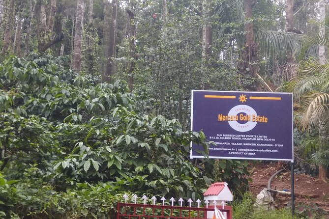 private-mercara-coorg-coffee-and-spice-estate-tour-overview-of-mercara-gold-estate