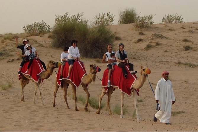 Private Morning Desert Safari of Arabian Desert With Camel Ride - Transportation and Logistics