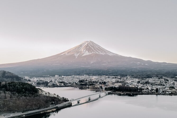 Private Mt Fuji, Hakone and Tokyo Tour-English Speaking Chauffeur