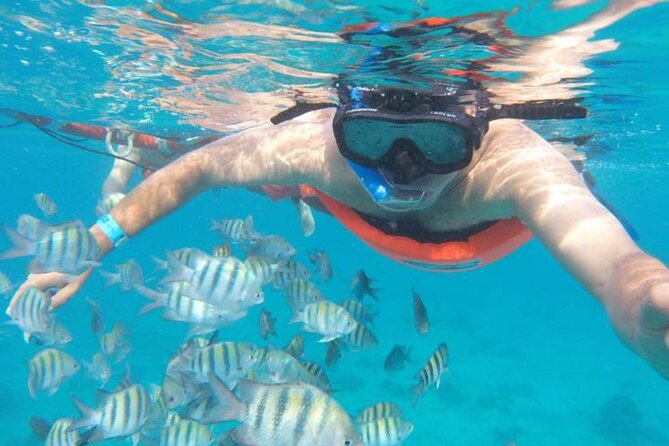 Private MUSA Snorkeling Experience at Isla Mujeres and Cancun - Overview