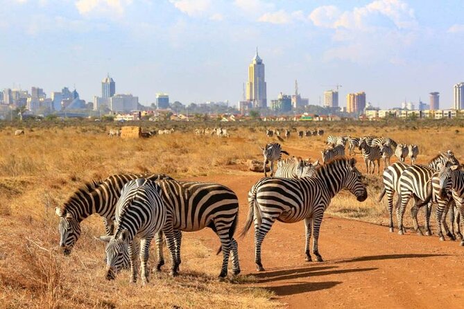 private-nairobi-national-park-day-tour-included-in-the-tour