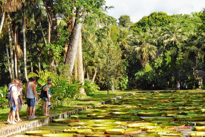 Private North Day Tour: Botanical Garden, Sugar Museum, Rum Tasting, Port Louis - Tour Overview