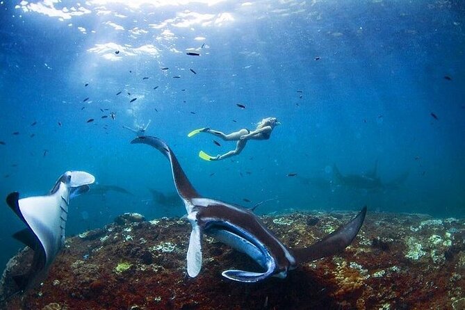 PRIVATE Nusa Penida on Boat Snorkeling & Island Tour (INCLUSIVE) - Tour Overview and Details