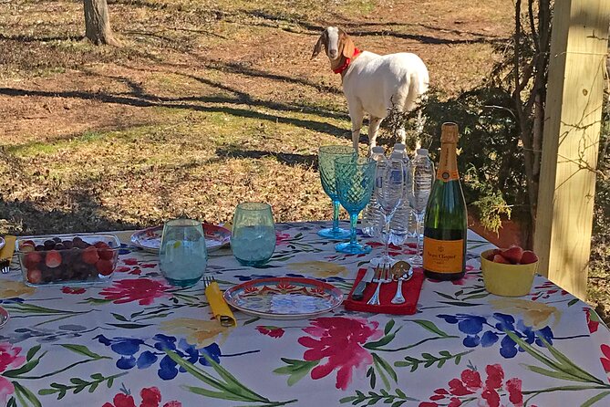 private-picnic-with-goats-in-lexington-overview-of-the-farm