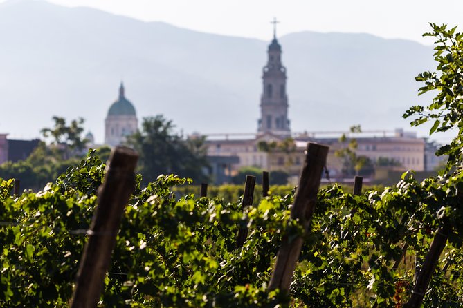 Private Pompeii Wine Tasting With Lunch - Inclusions