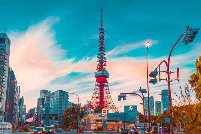 Private Round Trip Transfer From Haneda/Narita Airport to Tokyo. - Pickup Procedures at Narita Airport