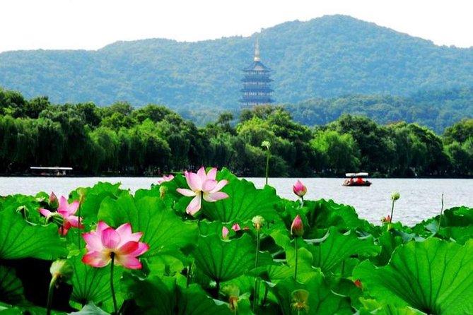 Private Shanghai to Hangzhou Bullet Train Day Trip Extravaganza - Tour Overview