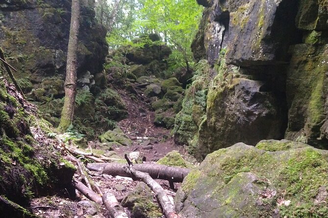 Private Singhampton Caves Hiking Tour, Collingwood/Blue Mountain - Overview of the Tour