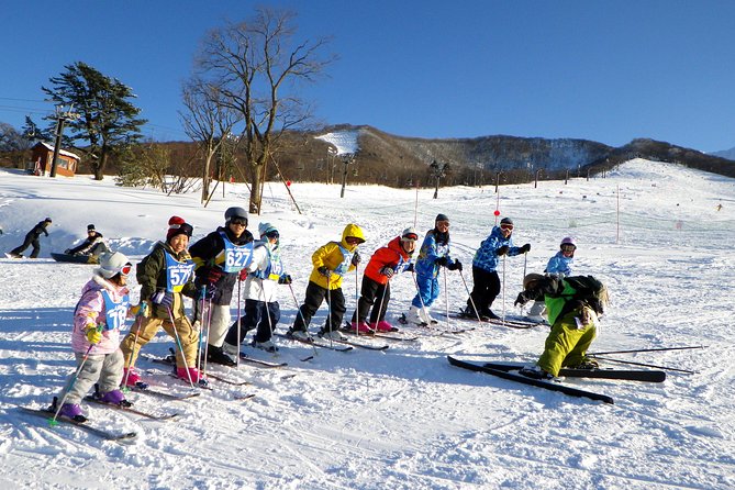 private-ski-lesson-for-family-or-grouptransport-included-meeting-point-and-pick-up-details