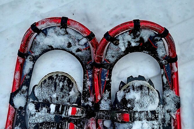 private-snowshoeing-on-the-ile-dorleans-meeting-and-end-points