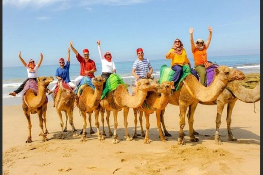 Private Tangier Tour From Gibraltar Including Camel & Lunch - Tour Details