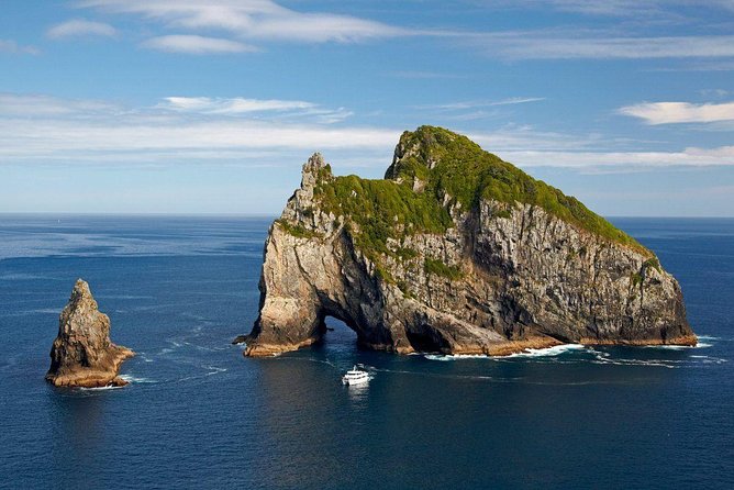 Private Tour: Bay of Islands Day Trip From Auckland - Tour Overview and Highlights