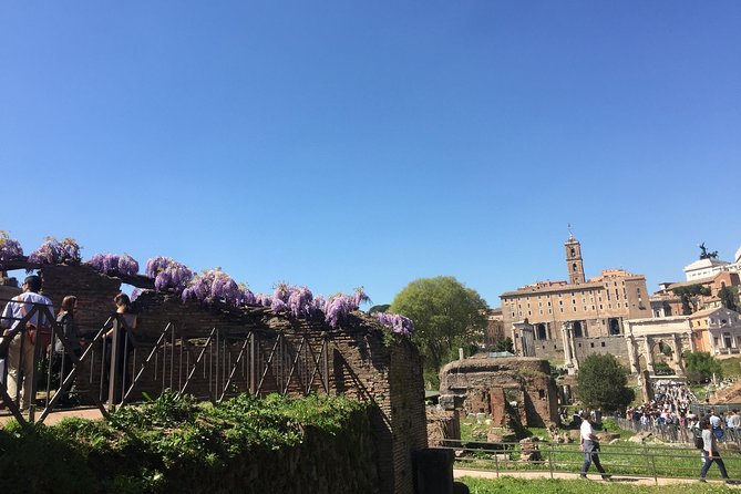 Private Tour: Colosseum & Imperial Rome Art History Walking Tour - 3207A