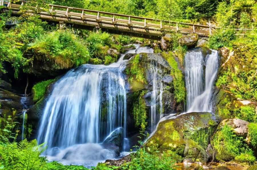 private-tour-from-zurich-to-rhine-falls-and-black-forest-tour-overview