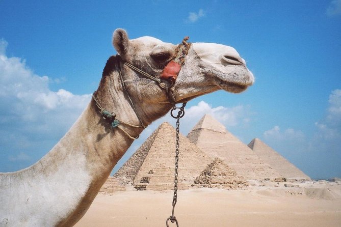 Private Tour: Giza Pyramids, Sphinx, Memphis, Sakkara - Tour Overview