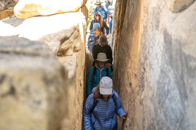 private-tour-of-mesa-verde-with-an-archeologist-trained-guide-overview-of-mesa-verde-national-park