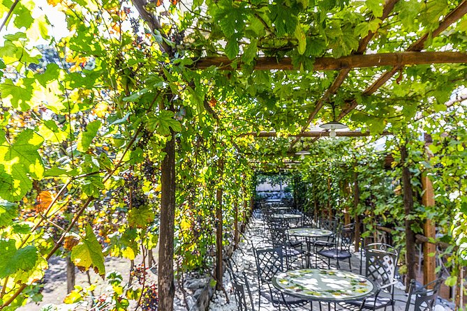 Private Tour of Pompeii Ruins, Organic Wine Tasting and Lunch