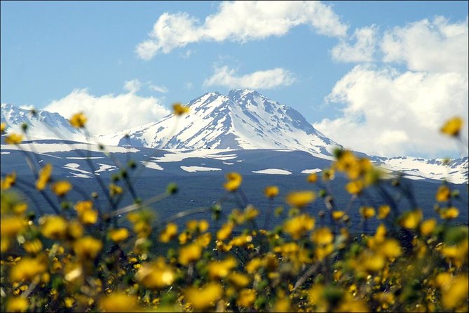 Private Tour to Aragats-Lake Kari - Armenian Alphabet Monument - Amberd Fortress - Tour Overview