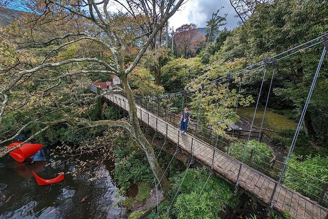 private-tour-to-hakone-gotemba-with-car-pick-up-inclusions