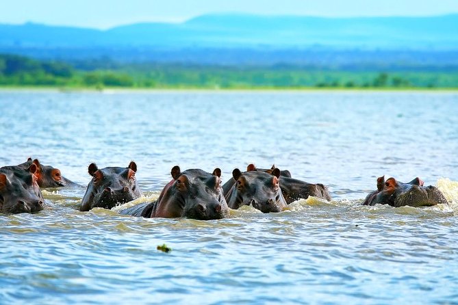 Private Tour to Mount Longonot and Optional Boat Ride on Lake Naivasha - Guided Hike to Mount Longonot