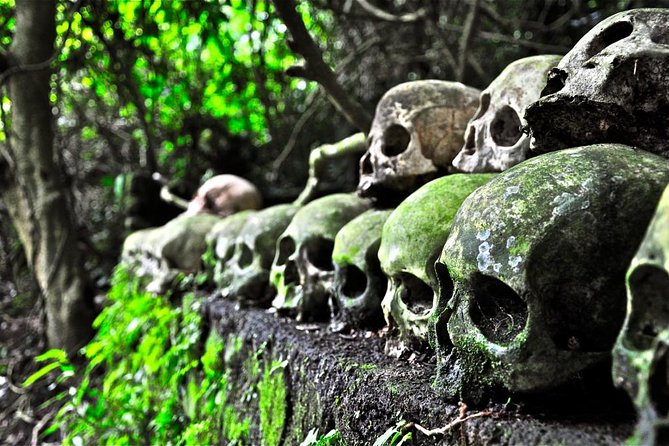 Private Tour to Trunyan Village Skull Island of Bali - Transportation and Logistics