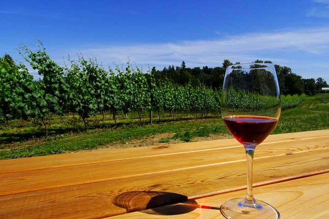 Private Tour: Vancouver Half Day Wine Tasting Tour - Tour Overview