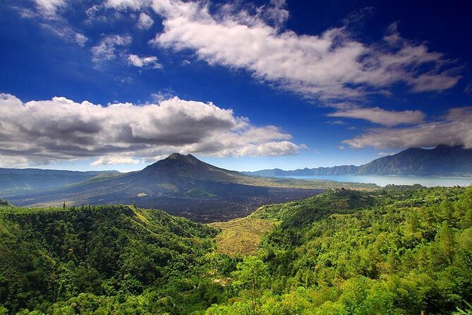 Private Tour: Waterfall, Kintamani Volcano, Ubud Tour With Lunch - Tour Overview