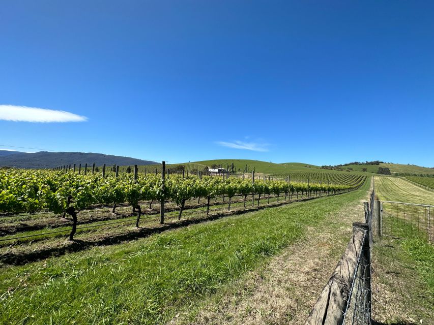 Private Tour: Yarra Valley Wine, Cheese, Gin & Chocolatrie - Highlights of the Tour