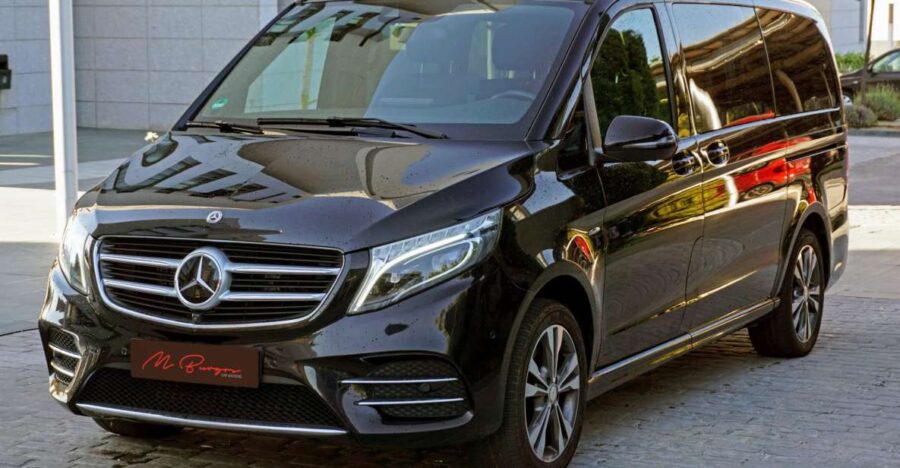 Private Transfer Malaga Airport to Marbella - Service Details