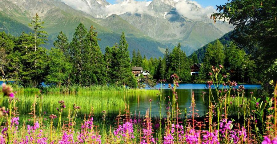 Private Trip From Geneva to Chamonix & Montreux - Tour Overview