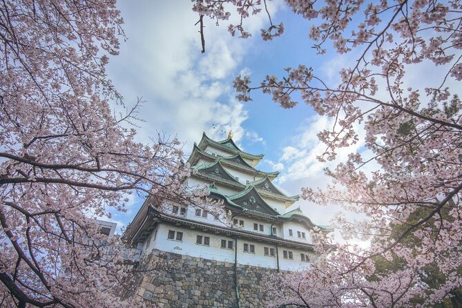 private-unique-nagoya-cherry-blossom-sakura-experience-tour-details