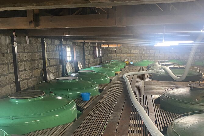 private-walking-and-wine-tasting-sake-brewery-tour-in-ibaraki-explore-yoshikubo-sake-brewery