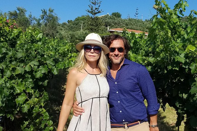 Private Wine and Olive Oil Tour With Wine Professional