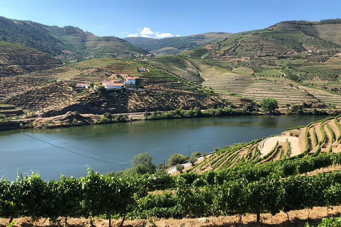 Private Wine Tour in the Douro Valley - Private Wine Tastings and Lunch Included