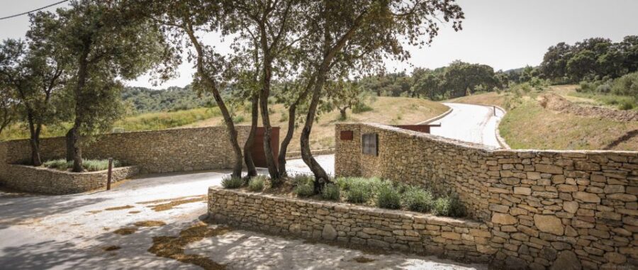 Private Winery Tour and Visit to Ronda - Tour Details