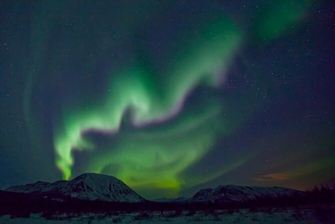 Private Yukon Aurora Viewing - Tour Overview