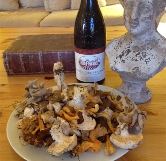 provence-mushroom-hunting-with-outdoor-breakfast-foraging-for-forest-treasures
