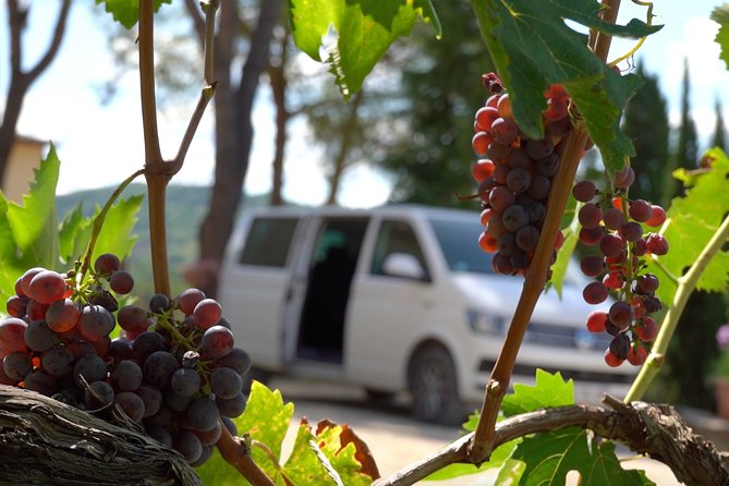 Provence Wine Small Group Day Tour From Nice With Tastings & Lunch