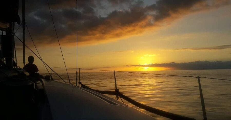 Puerto Colon: Whale-Watching Sailing Tour With Meal & a Swim - Overview of the Tour