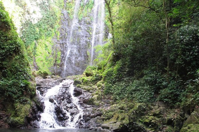 Puerto Rico Waterfall Hiking Tour: Discover Hidden Gems