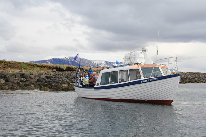 Puffin Cruise With Expert Tour Guide From Reykjavik