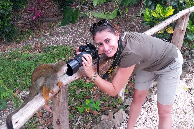Punta Cana Monkeyland and Zipline Two Adventures in One Day - Itinerary and Activities