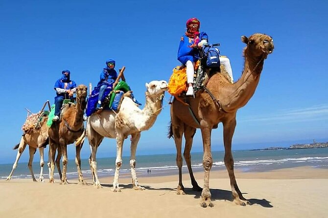 Quad Biking and Camel Ride Experience - Experience Overview