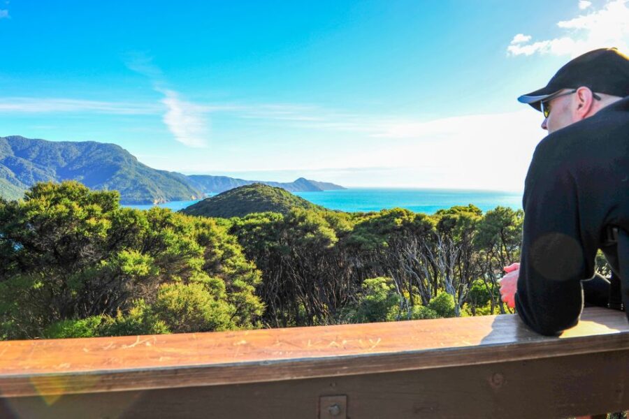 Queen Charlotte Track: Cruise & Self-Guided Hike From Picton